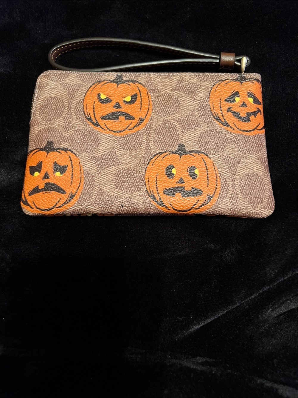 Coach Pumpkin Motif Wristlet — Brown & Orange - Picture 3 of 6